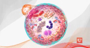 proces oczyszczania organizmu