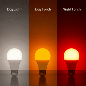 porównanie światła żarówek NightTorch, DayTorch i DayLight